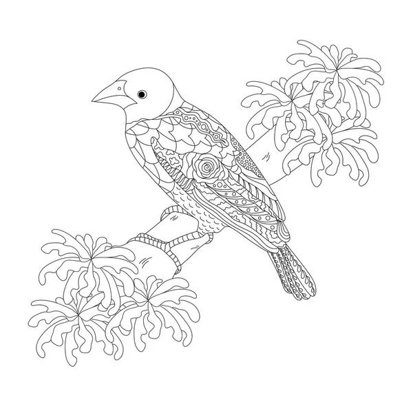 Fantasie vogel op een tak. Ploceus cucullatus uit Afrika. Zwart-wit vectorillustratie. Kleurboek voor volwassenen en kinderen. — Stockvector