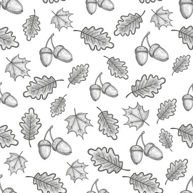 meşe palamudu ile Seamless Modeli