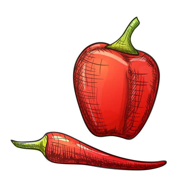 Красочный перец — стоковый вектор