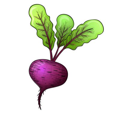 Renkli kroki tarzı pancar