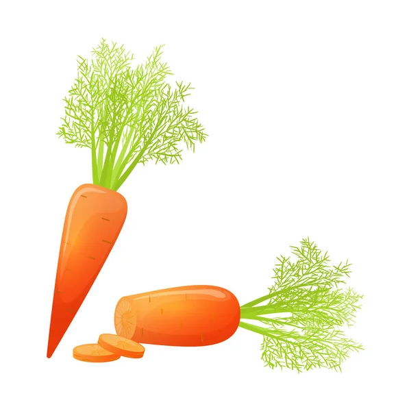 Desenhos animados coloridos em fatias de cenoura — Vetor de Stock