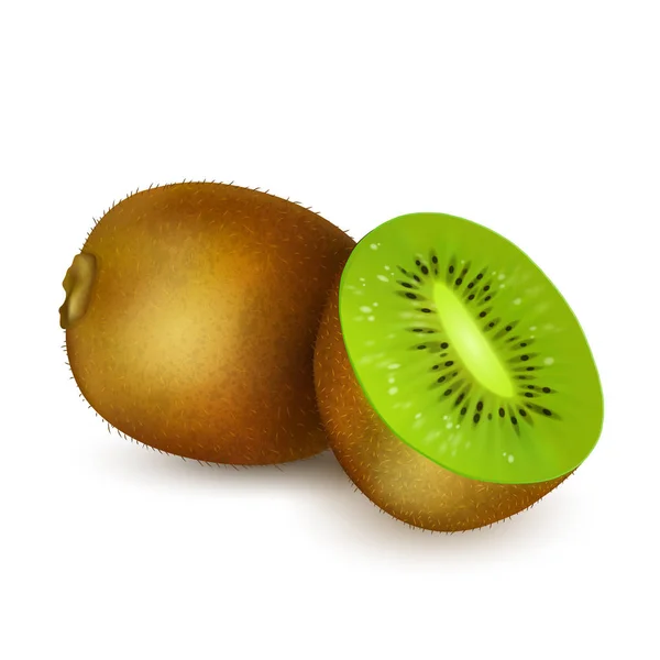 Kiwi geïsoleerd op witte achtergrond — Stockvector