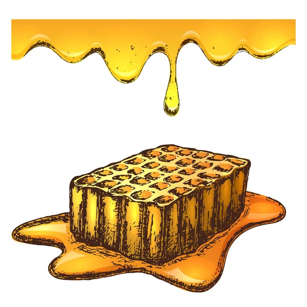 Desenho de tinta de mel ilustração — Vetor de Stock