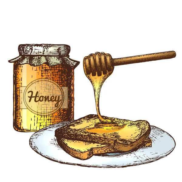 Honey ink sketch illustration — Stock Vector