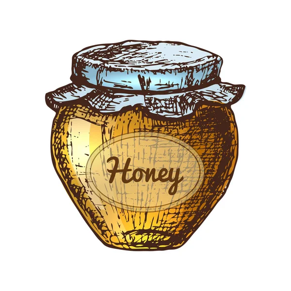 Honey ink sketch illustration — Stock Vector