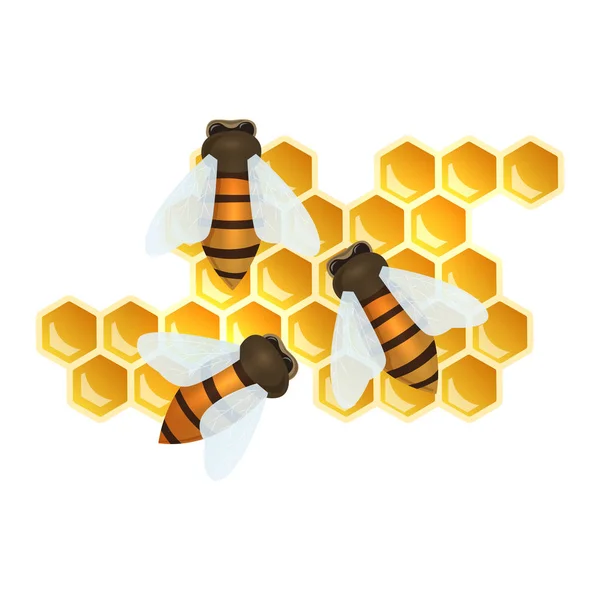 Bees and honey combs — Stock Vector