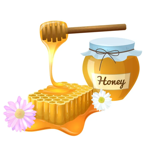 蜂蜜の櫛の図 — ストックベクタ