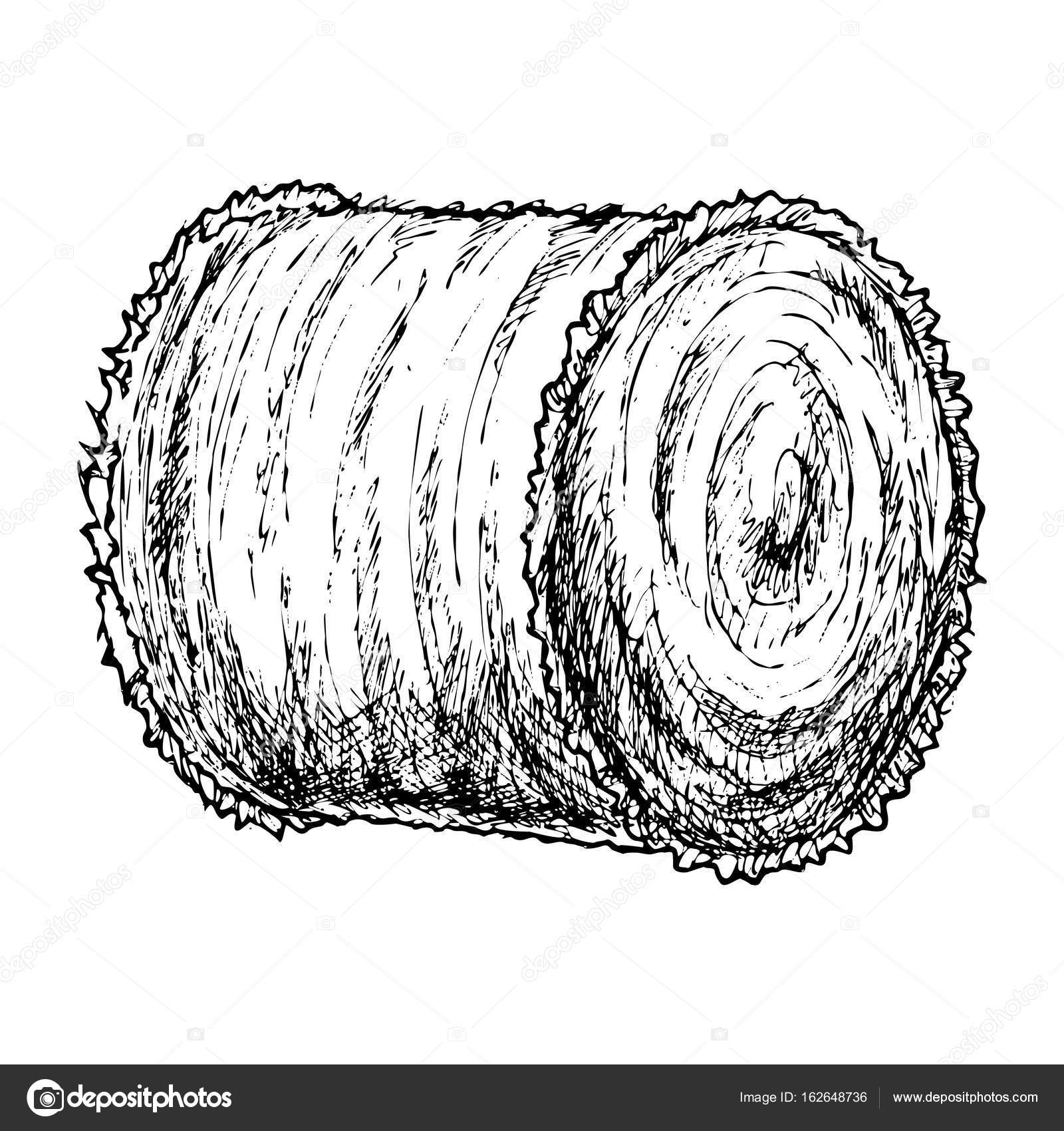 Roll Of Hay Sketch Vector Image By C Alffisky Gmail Com Vector Stock