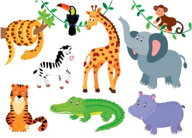 Beyaz arka planda Afrikalı hayvanların vektör çizimi. Çizgi film tarzında sevimli hayvanlar..