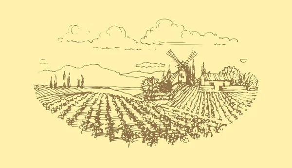 Vektör el bağ manzara çekilmiş.