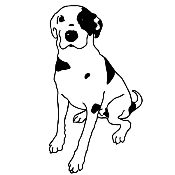 Διάνυσμα μαύρο και άσπρο σκυλί κάθεται. Έξυπνη και αγάπη μου σκυλάκι. — Διανυσματικό Αρχείο