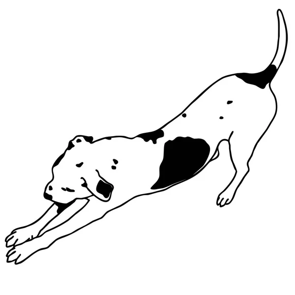 Vector cão preto e branco sentado. Cãozinho inteligente e querido . — Vetor de Stock