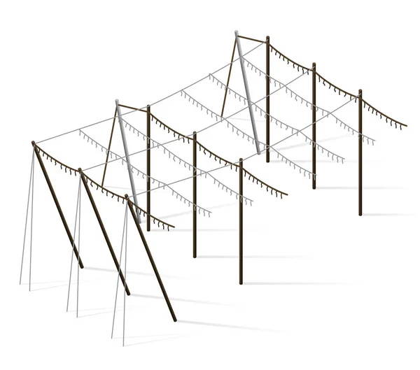 Hop ogród krajobrazu. Agriculture krajobraz. Chmiel ogród opieka konstrukcje w wierszach. — Wektor stockowy