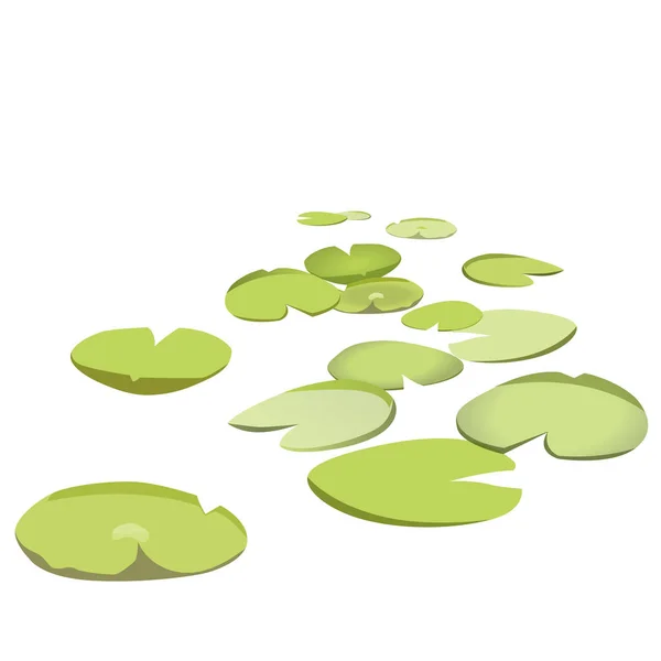 Групповые векторные водяные лилии, плавающие на поверхности. Зеленая низкая водянистая лилия . — стоковый вектор