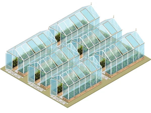 Isometrisk växthus gård med glasväggar och stiftelser. — Stock vektor