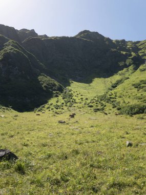 Alp massif, Avusturya için güzel Alp Kanyon. Yaz aylarında Alp Gastein Valley.