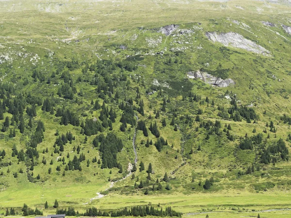 Festői alpesi sziklás alpesi völgy a Sportgastein nyáron. — Stock Fotó