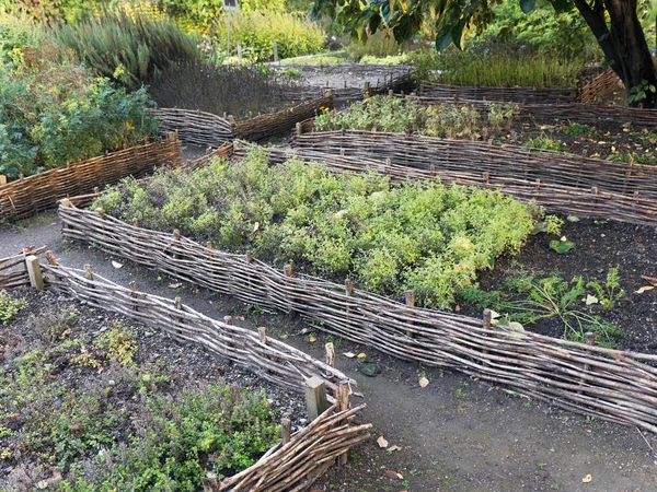 Camas de mimbre elevadas vegetales. Equipo de jardinería para jardineros domésticos . — Foto de Stock