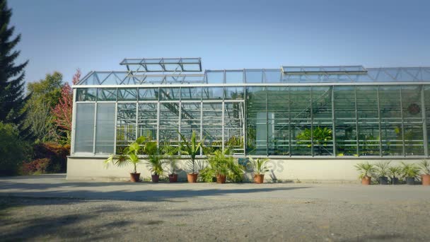 Stora växthus med glasväggar, stiftelser, sadeltak, trädgård säng. — Stockvideo