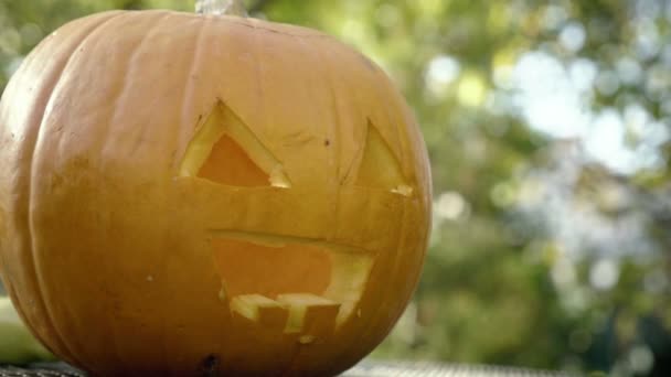 Snidade halloween pumpa läskiga fågelskrämma huvudet. Förbereda Halloweenpumpor. — Stockvideo