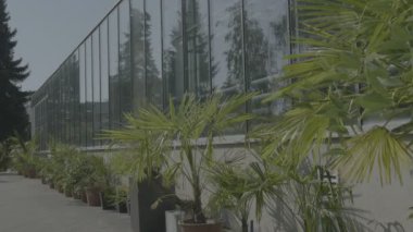Cam duvarlar, vakıflar, üçgen çatı çatı, Bahçe yatak ile büyük sera.