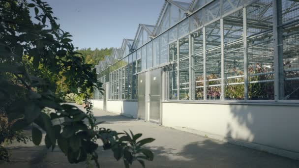 Grande serra con pareti in vetro, fondazioni, tetto a due falde, lettino da giardino . — Video Stock