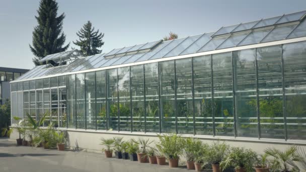 Big greenhouse with glass walls, foundations, gable roof, garden bed. — Stock Video