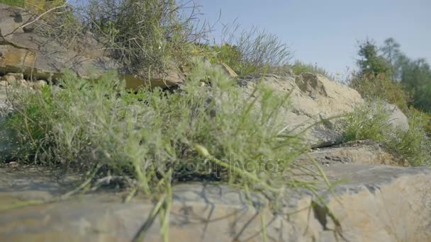 Tropical waterfall in the tropical rainforest. Falling and running water on rock, drops falling into water and stones. — Stock Video