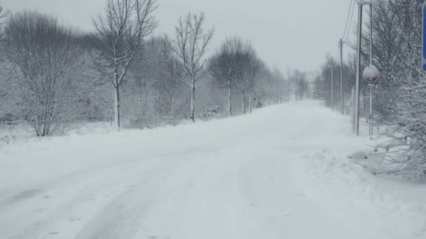 Caminho Nevado Com Trilhas Paisagem Inverno Com Neve Caindo Tudo — Vídeo de Stock