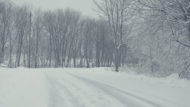 Caminho Nevado Com Trilhas Paisagem Inverno Com Neve Caindo Tudo — Vídeo de Stock