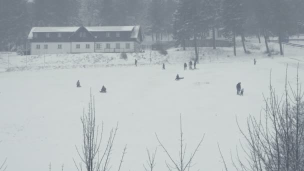 Deportes Invierno Trineo Recreativo Esquí Paseos Trineo Tiro Total Pista — Vídeo de stock