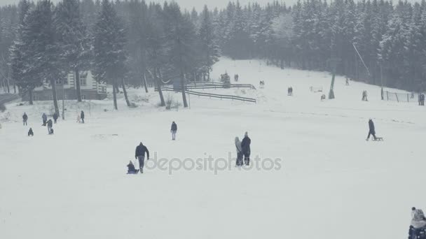 Winter Sports Recreational Tobogganing Skiing Sleigh Rides Total Shot Ski — Stock Video