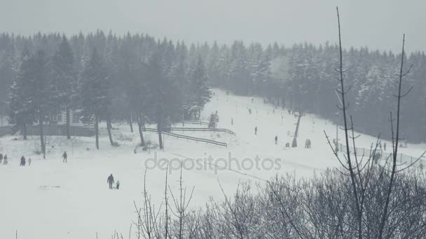 乗り物をそりソリ スキー 冬のスポーツ レクリエーション スキー場の総ショットは 雪の冬の風景 すべては新雪で覆われています 冬の背景 クリスマスのテーマ — ストック動画