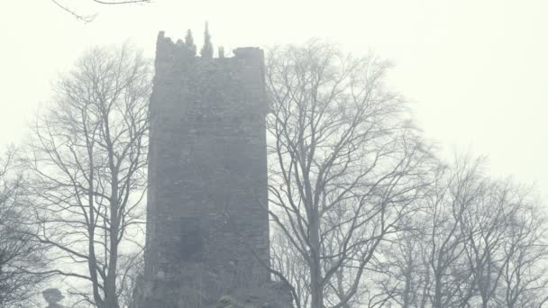 Ruinen Einer Mittelalterlichen Burg Beängstigend Riesiges Gebäude Riesiger Wehrturm Rätselhaftes — Stockvideo