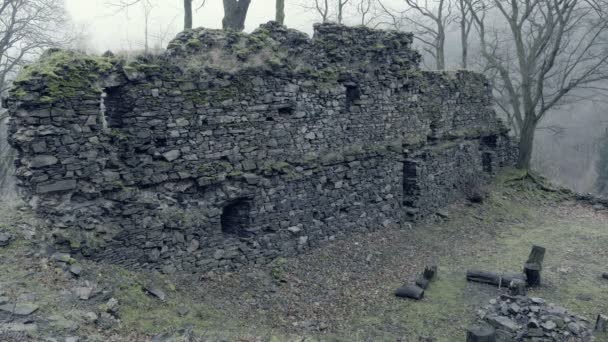 Ruinas Del Castillo Medieval Edificio Gigante Aterrador Enorme Torre Fortificación — Vídeo de stock