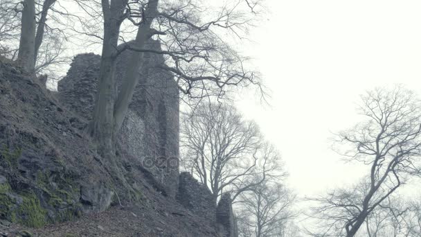 Ruinen Einer Mittelalterlichen Burg Beängstigend Riesiges Gebäude Riesiger Wehrturm Und — Stockvideo