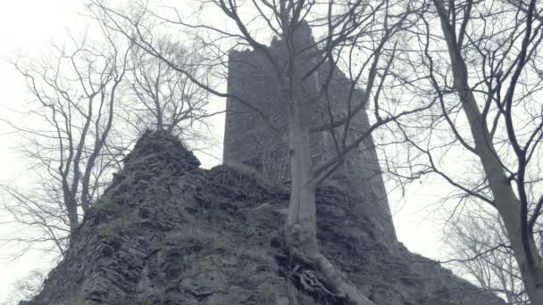 中世の城の遺跡 怖いの巨大な建物は 巨大な防御的な要塞タワーと防波堤 神秘的で霧の冬の天候の城壁 — ストック動画