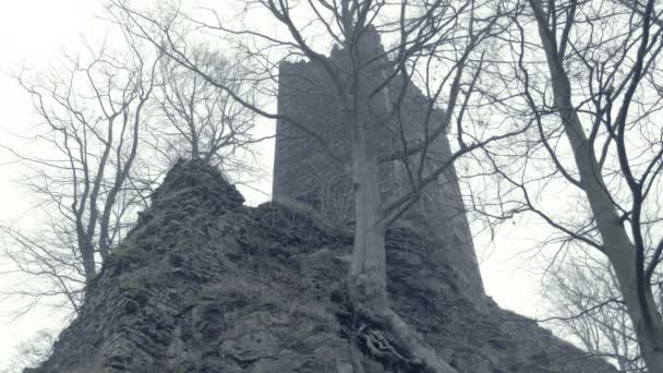 Ruinen Einer Mittelalterlichen Burg Beängstigend Riesiges Gebäude Riesiger Wehrturm Und — Stockvideo