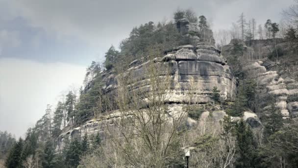 Rocce Arenaria Massi Rocciosi Nella Foresta Paesaggio Rampicante Germania Grandi — Video Stock