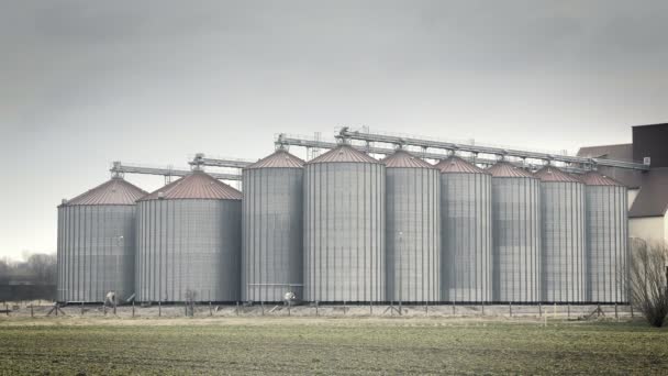 Getreidemetallsilo Gebäude Landschaft Großer Zinnsamen Aufzug Aufnahmen Von Landwirtschaftlicher Landschaft — Stockvideo