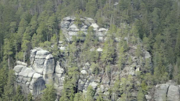 Hiekkakivi Kiviä Kallio Massiiveja Metsässä Kiipeilymaisema Saksassa Isot Kivet Ulkoilukohde — kuvapankkivideo