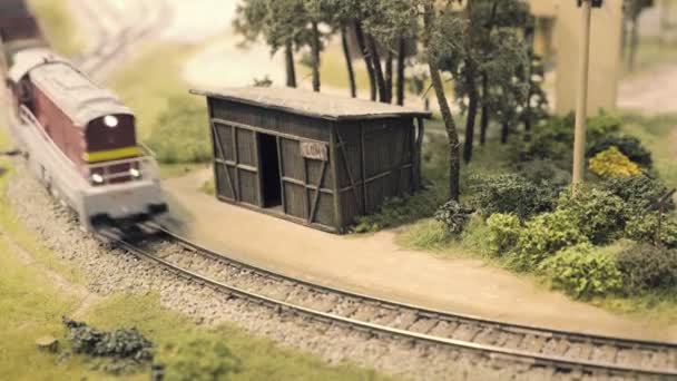 Modèle Voie Ferrée Train Miniature Traverse Courbe Arbres Petit Arrêt — Video