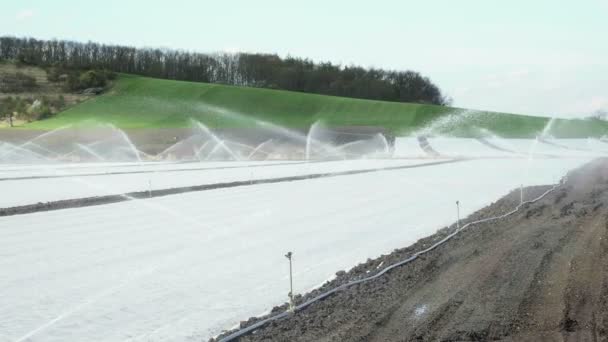 Field Irrigation System Water Sprinklers Spraying Plants Total Shot Beautiful — Stock Video
