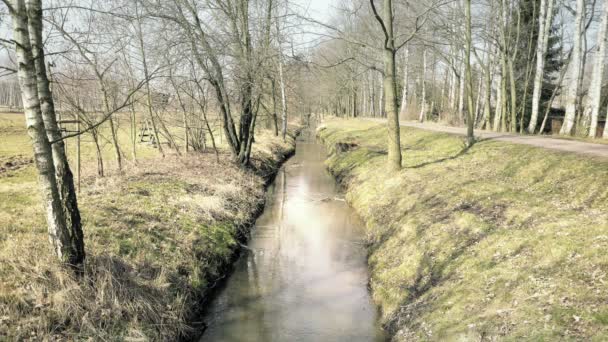 Petit Ruisseau Traversant Colonnade Des Arbres Beau Chemin Eau Menant — Video