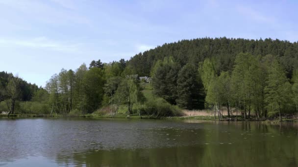 Village étang avec allée d'arbres sur le rivage. Lac de surface dans le vent avec de petites vagues. Ambiance ensoleillée du village idyllique, fond sous la publicité packshot. Banque avec route. Paysage de jour statique 