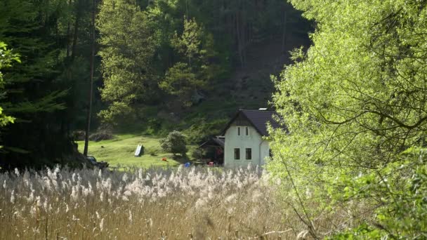 田园诗般的乡间村舍 有草地 森林和田野 中世纪的孤零零的农舍在远射中 带有牧场 树木和小麦的老农场 背景森林覆盖的小山 — 图库视频影像