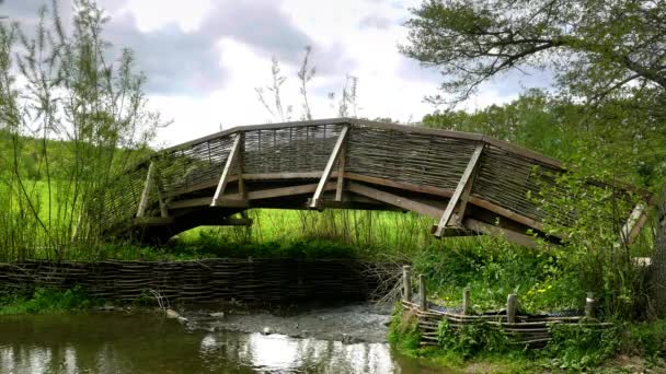小河上的木桥上有编织柳条栏杆 浴池花园项目 平静的绿洲在花园的房子 与植物为伍 春天自然花园公园 — 图库视频影像