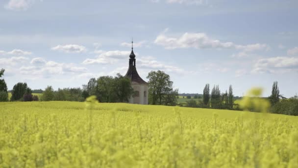 Malý Kostel Barokní Kaple Zvonicí Poli Žlutou Řepkou Olejnou Vesnice — Stock video