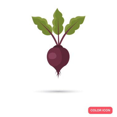 Pancar tarım ürün. Renk düz simgesi