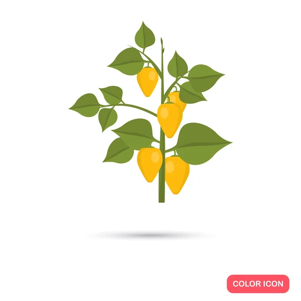 พืชเกษตรพริกไทยสีเหลือง สีไอคอนแบน — ภาพเวกเตอร์สต็อก